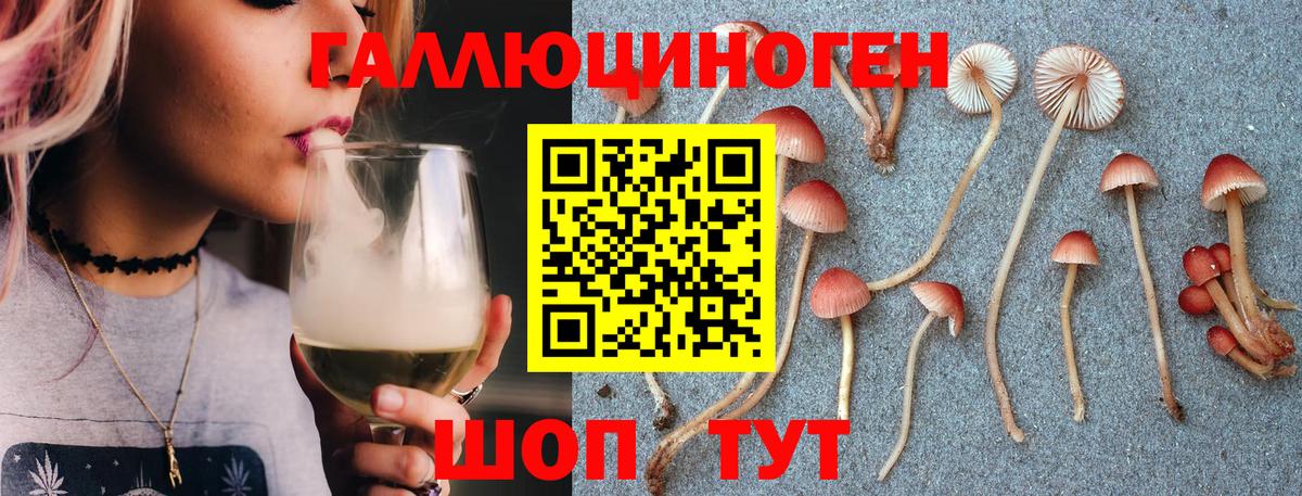 Тимашёвск  Галлюциногенные грибы мицелий  Галлюциногенные грибы ЛСД  Вход с VPN 
